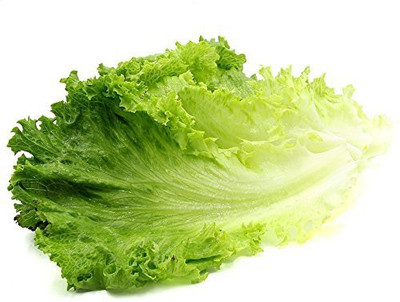 TRICONE Lettuce Seed(450 per packet)