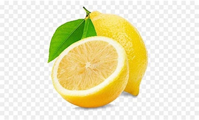 KNESSiN True Dwarf with Full Sized Tasty Lemons Seeds Seed(25 per packet)