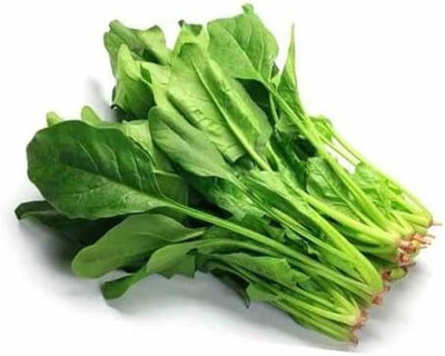 LIFELEX Hybrid Palak Spinach Seed(140 per packet)