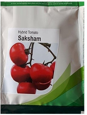 WILLVINE Tomato Seeds Saksham Seminis [1g, 300 Seeds] Seed(300 per packet)