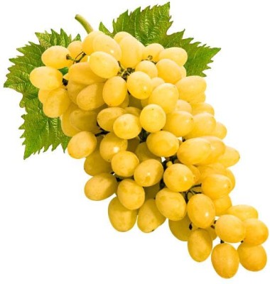 Lorvox All Season Hybrid Green Grapes Angoor beej Seed(60 per packet)