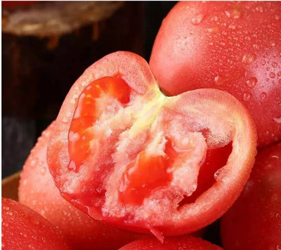 Quentova Desi Salad Red Tomatoes-NTL-5C Seed(250 per packet)
