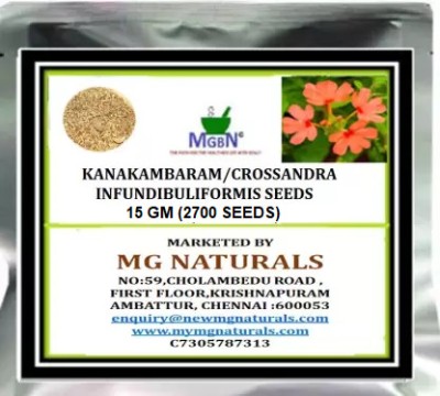 MGBN KANAKAMBARAM/CROSSANDRA INFUNDIBULIFORMIS SEEDS - 15 GM (12700 SEEDS) Seed(15 g)