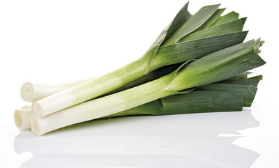 CYBEXIS Vegetable Leek (हरी प्याज) For Home and Gardning Winter(2000 Seeds) Seed(2000 per packet)