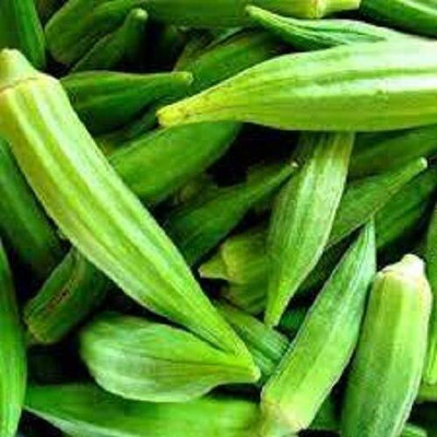 LPR LADY FINGER, (BINDI) Seed(100 per packet)
