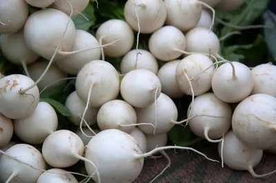 MYLAWN White Ball Shalgam/Turnip Seed(800 per packet)