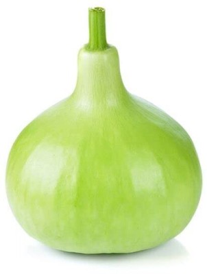 VibeX Bottle Gourd (Hybrid) Lattu Ghiya) Seed-(200 Gms, 1000 Seeds) Seed(1000 per packet)