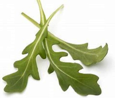 WILLVINE Garden Arugula Microgreen Seeds for Sprouting Sprouts-[2500 Seeds] Seed(2500 per packet)