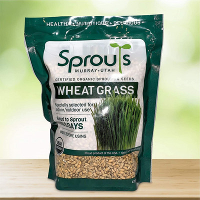 CYBEXIS VXI-87 - Premium Hard Red Winter Wheat - (7500 Seeds) Seed(7500 per packet)