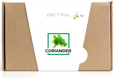 CYBEXIS Coriander1200 Seeds Seed(1200 per packet)