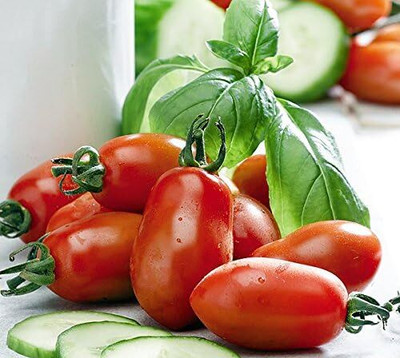Biosnyg Hybrid San Marzano Tomato Seeds For Kitchen Gardening - (1000 Seeds) Seed(1000 per packet)