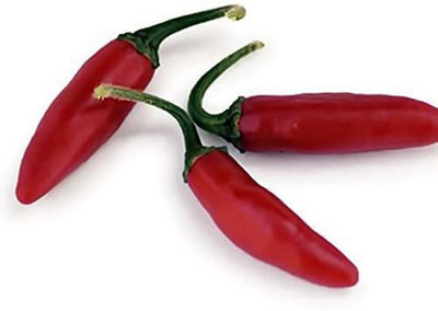 CYBEXIS Hybrid Red Serrano Hot Chili Pepper Seeds 600 Seeds Seed(600 per packet)