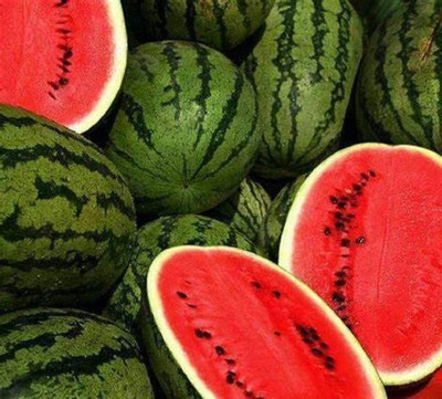 CYBEXIS NBIR-76 - Jubilee Watermelon - (150 Seeds) Seed(150 per packet)