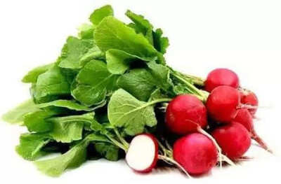 MAA Radish, Radish Red Ball Seed(95 per packet)