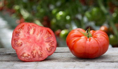 Qualtivate KGF -581 Tomato Seeds - Beefsteak Seed(200 per packet)