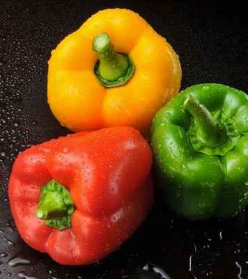 CYBEXIS Imported Capsicum Mix F1 Hybrid seeds Seed(10 g)