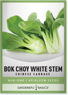 WILLVINE SYN -XVI Bok Choy Chinese Cabbage Seeds [2.5g] Seed(750 per packet)