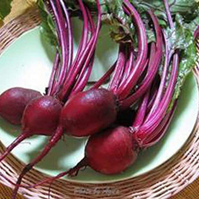 CYBEXIS Purple Vegetable Beetroot Seeds2000 Seeds Seed(2000 per packet)