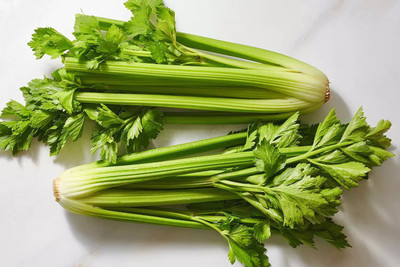 CEZIUS Imported Exotic Seeds Organic Celery-Tall Utah Seed(130 per packet)