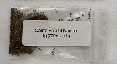 VibeX XLL-52 - Carrot Scarlet Nantes Daucus carota - (2250 Seeds) Seed(2250 per packet)