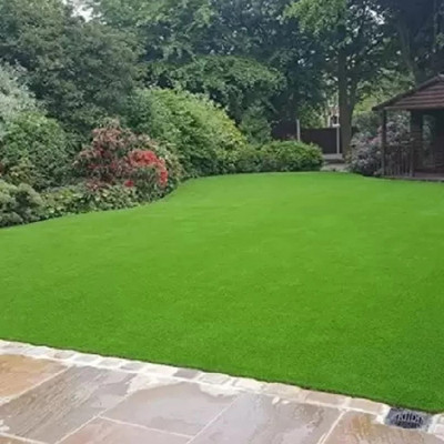 PMA lawn grass seeds for park/Lawn Grass Seeds 7100 Seed(7114 per packet)