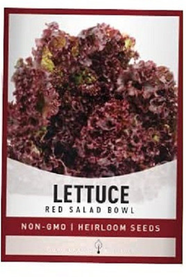 CYBEXIS Red Salad Bowl Lettuce2000 Seeds Seed(2000 per packet)