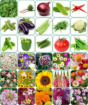 Aero Seeds 30 variety(15 flower and 15 vegetable) seeds combo pack with instruction manual. Seed(30 per packet)
