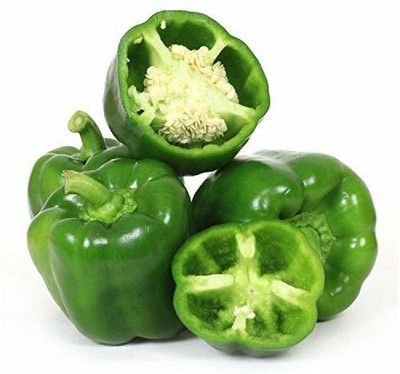 CYBEXIS NDIR-85 - Organic Natural Green Capsicum - (1350 Seeds) Seed(1350 per packet)