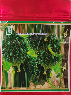 WILLVINE ATS-381 Baby Bitter Gourd Seeds Seed(50 per packet)