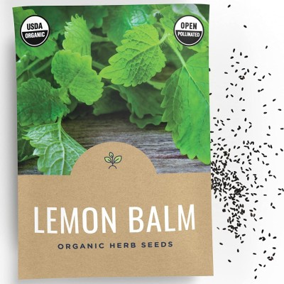 Qualtivate GUA-99 Melissa Herbs Lemon Balm Seed(500 per packet)