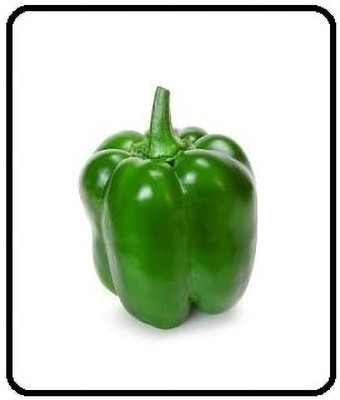 Qualtivate XXX-1A Heirloom Green Yolo Wonder Capsicum Seeds Seed(100 per packet)