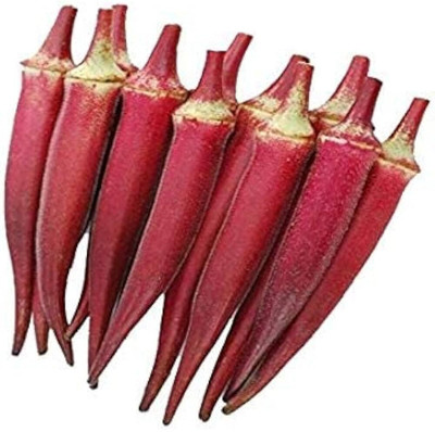 Cloud Farm red lady finger seeds Seed(61 per packet)