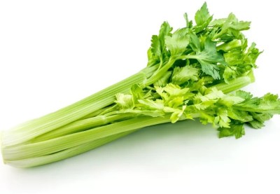 Quentova High quality green vegetable celery-6X-VOX Seed(200 per packet)