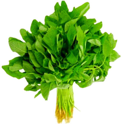 VibeX ® LXI-637 Spinach Green(Amaranthus) Hara Saag Cheera Seed(500 per packet)