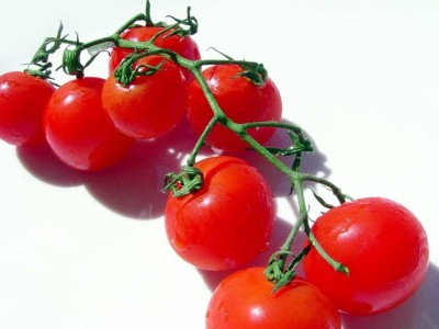 KNESSiN Tomato Cherry Red Seed(1250 per packet)