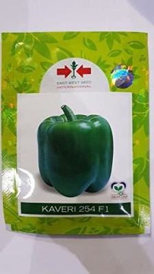 Qualtivate LXI-61 Capsicum (Simla Mirch/Pahadi Mirch) Vegetable Seeds Seed(200 per packet)