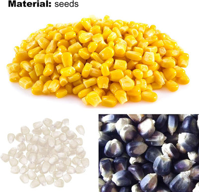 CYBEXIS Sweet Waxy Yellow Corn Seeds2000 Seeds Seed(2000 per packet)