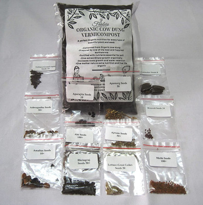 CYBEXIS Medicinal Plant Combo (Pack of 12 types) Seed(10 g)