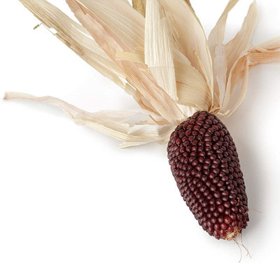 VibeX ® VXI-666 Strawberry Popcorn Seed Seed(500 per packet)