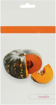 CYBEXIS XL-80 - Hybrid Pumpkin - (100 Seeds) Seed(100 per packet)