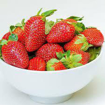 XOLDAA XOLDAA F1quality hybrid strawberry seeds Seed(50 per packet)