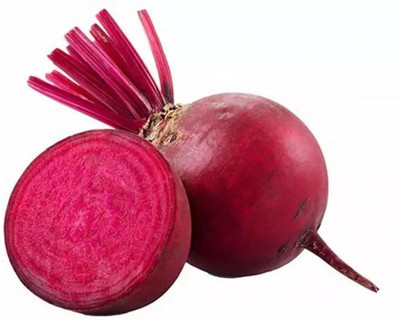 MYLAWN Organic Beetroot Turnip Egyptian Seed(1000 per packet)