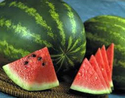 CYBEXIS VVI-4 - Watermelon Jubilee - (150 Seeds) Seed(150 per packet)