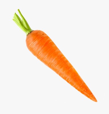 ZIFR नारंगी गाजर Orange Carrot Seed(500 per packet)