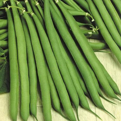 DIVINE BEANS Seed(100 per packet)