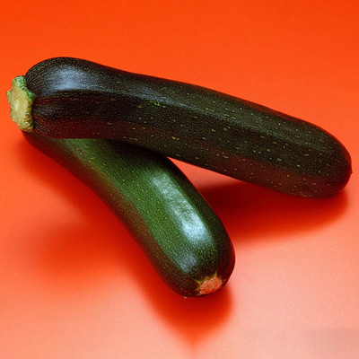 CYBEXIS Hybrid Zucchini Squash Seeds for Yard Green400 Seeds Seed(400 per packet)