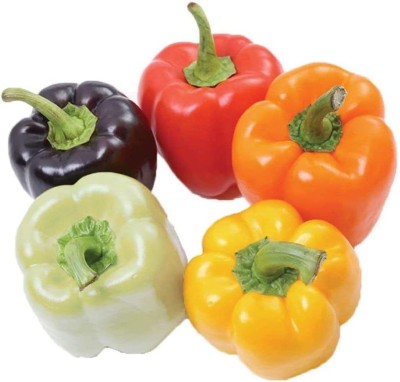 CYBEXIS Capsicum/Sweet Bell Pepper Mix Seeds-300 Seeds Seed(300 per packet)