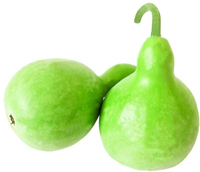 Qualtivate PUA-1A Bottle Gourd Round / Ghiya Round Seed Seed(50 per packet)