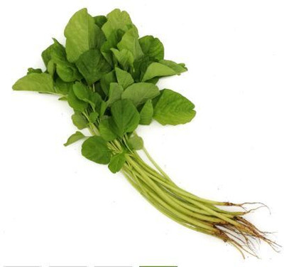 SUPRIKAM High Yield DESI Danta/SADA DANTA/DATA SHAK (ডাটাশাক) Seed(90 per packet)