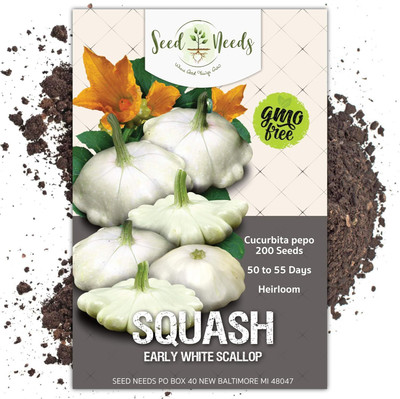 Qualtivate TLX-417 Early White Scallop Summer Squash Seed(100 per packet)